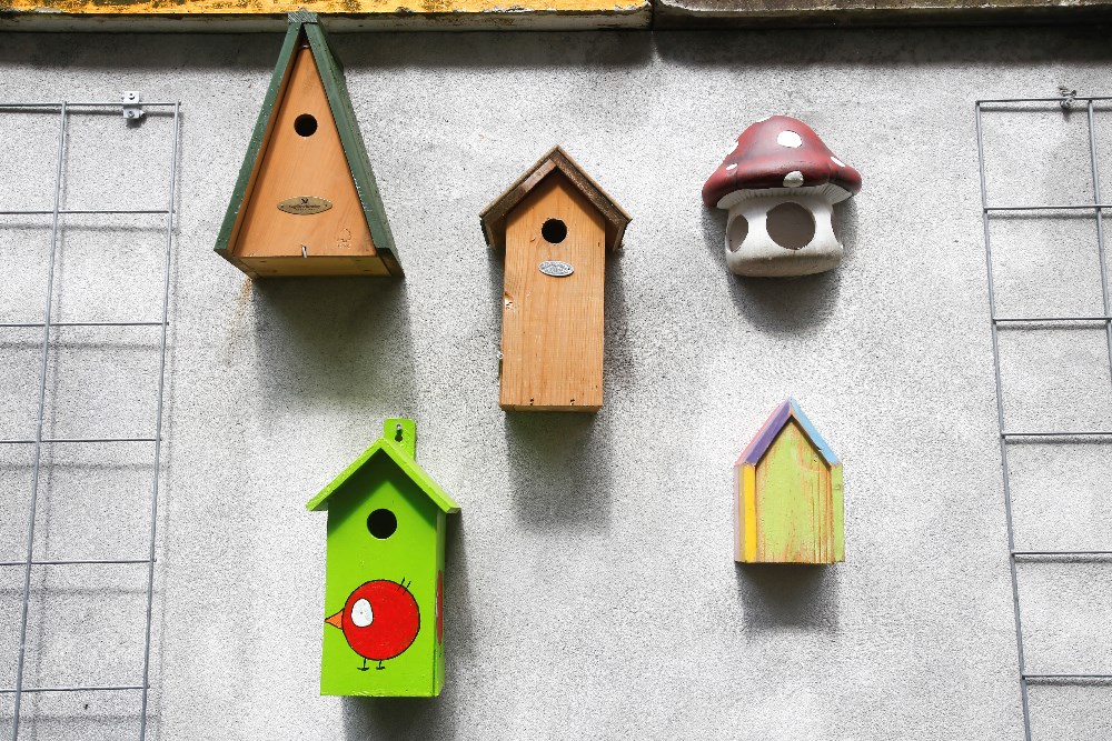 Afbeelding bij Wij bedanken